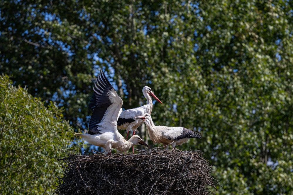 Photograph by Юлия Яковлева