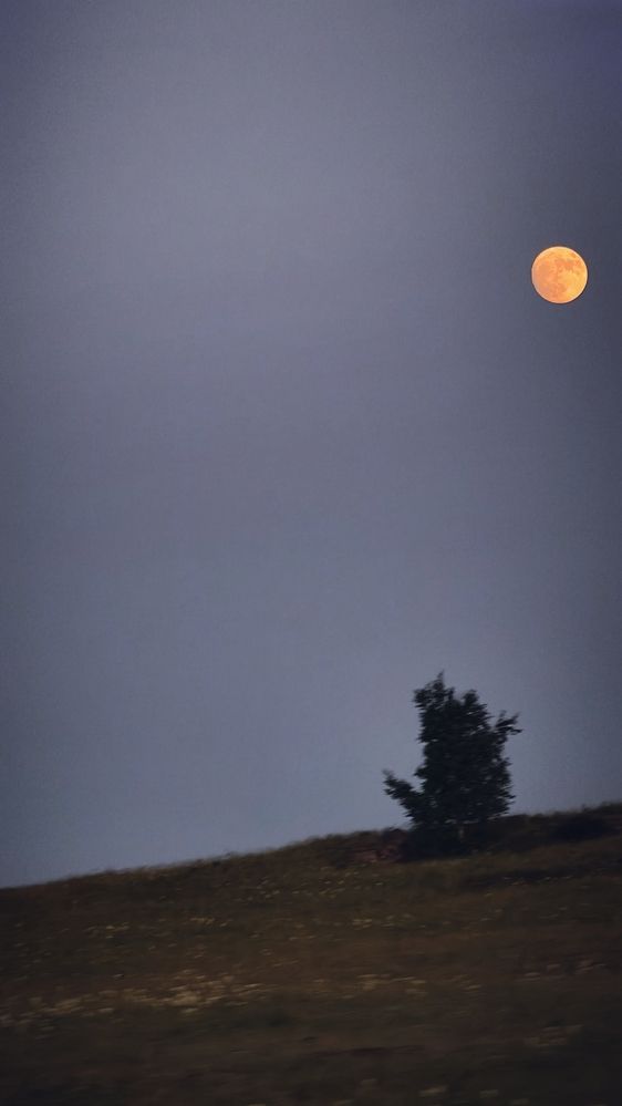 Photograph by Елена Кадаева