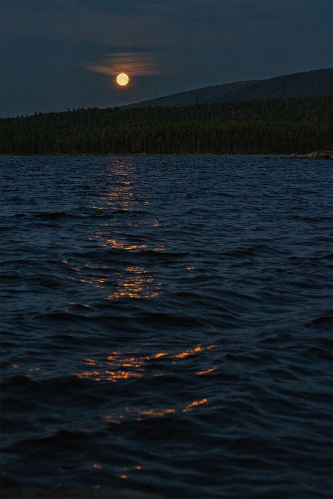 Photograph by Михайлова Елена