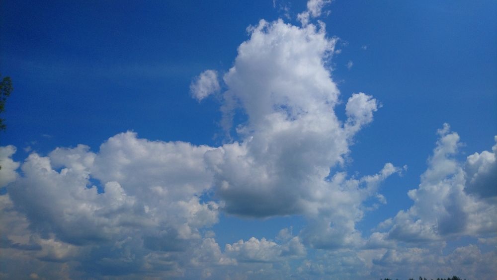 Photograph by Инна Голубева