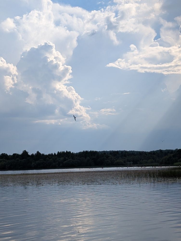 Photograph by Наталья Горовых