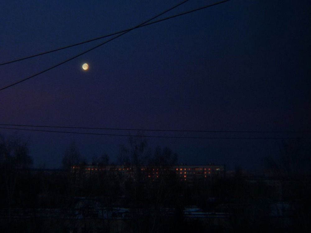 Photograph by Юлия Гусева