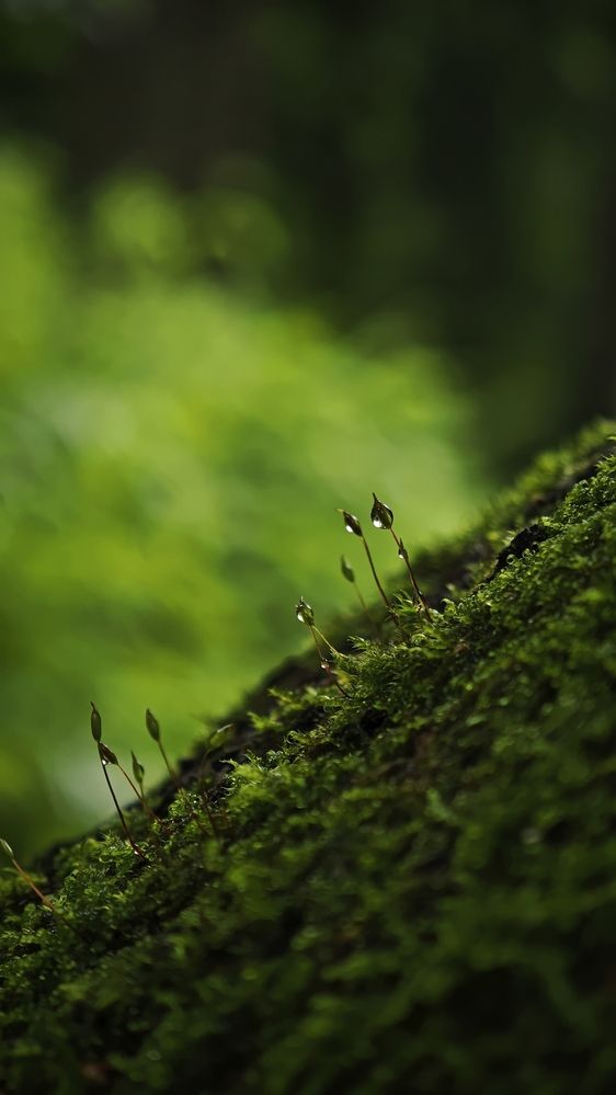 Photograph by Ekaterina Sapezhinskaya