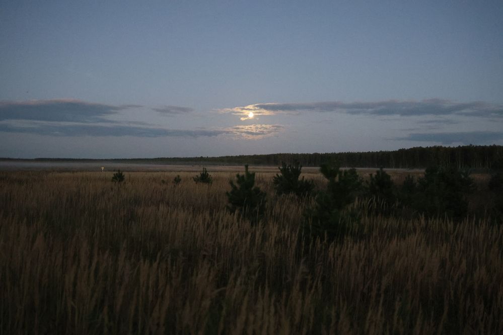 Photograph by Елена Буканина