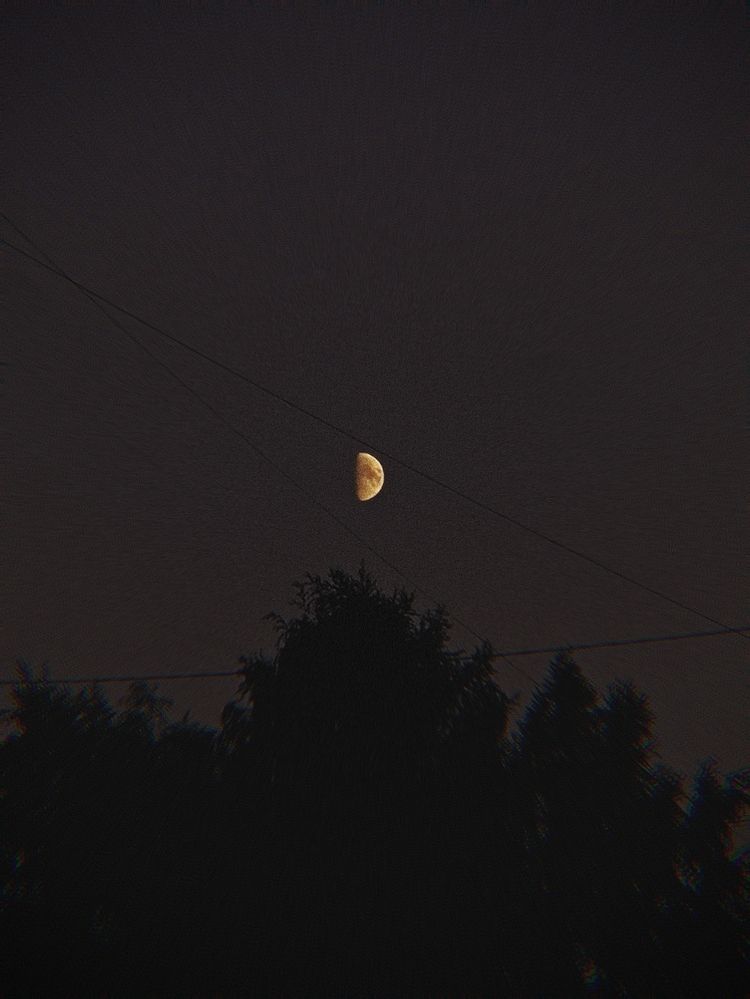 Photograph by Юлия Гусева