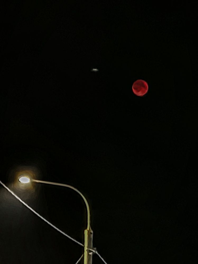 Photograph by Марина Опарина