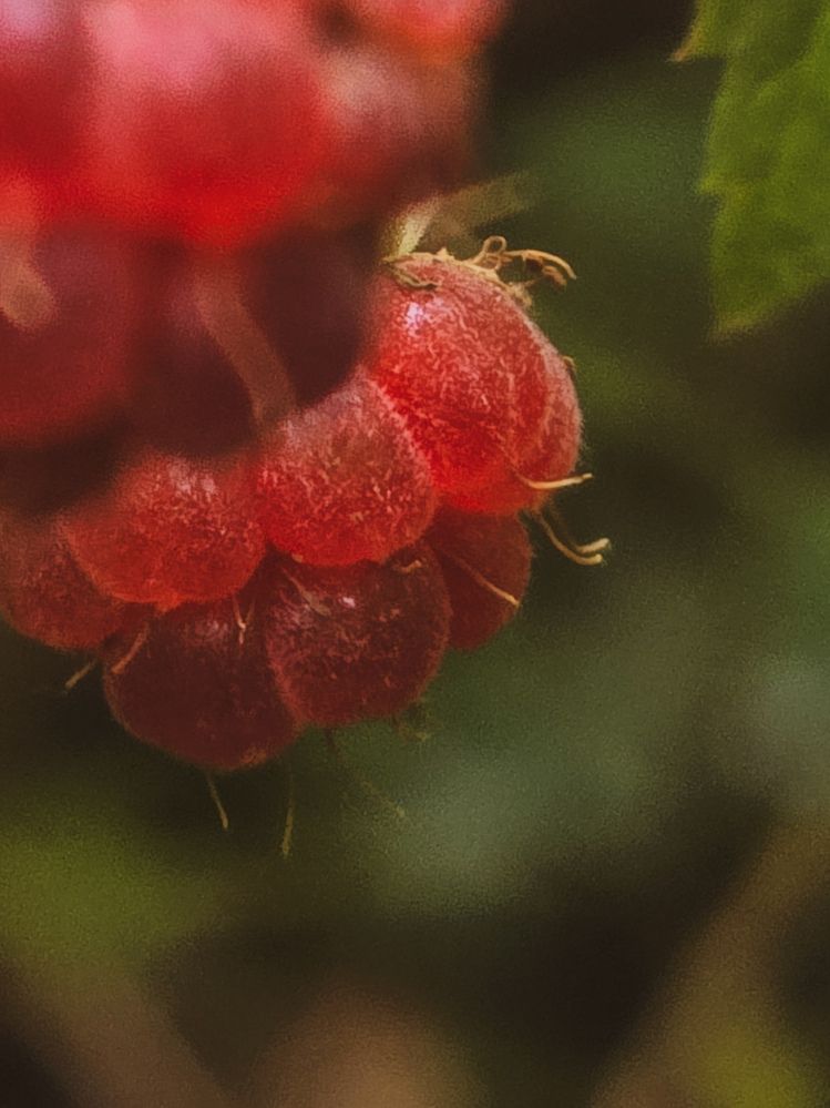 Photograph by Ирина Хлебникова