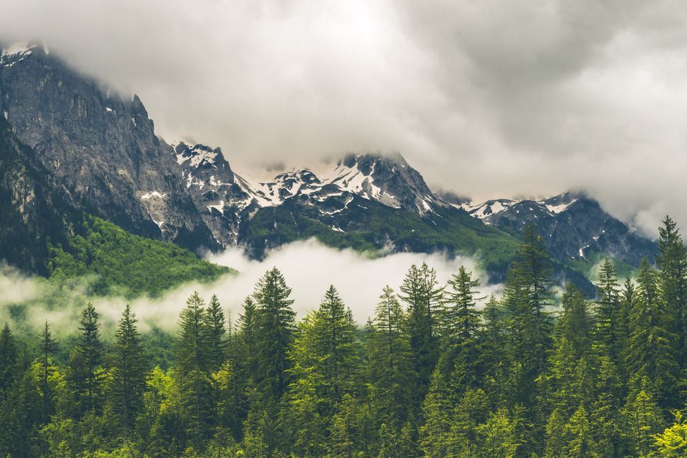 Photograph by yosef abitbul