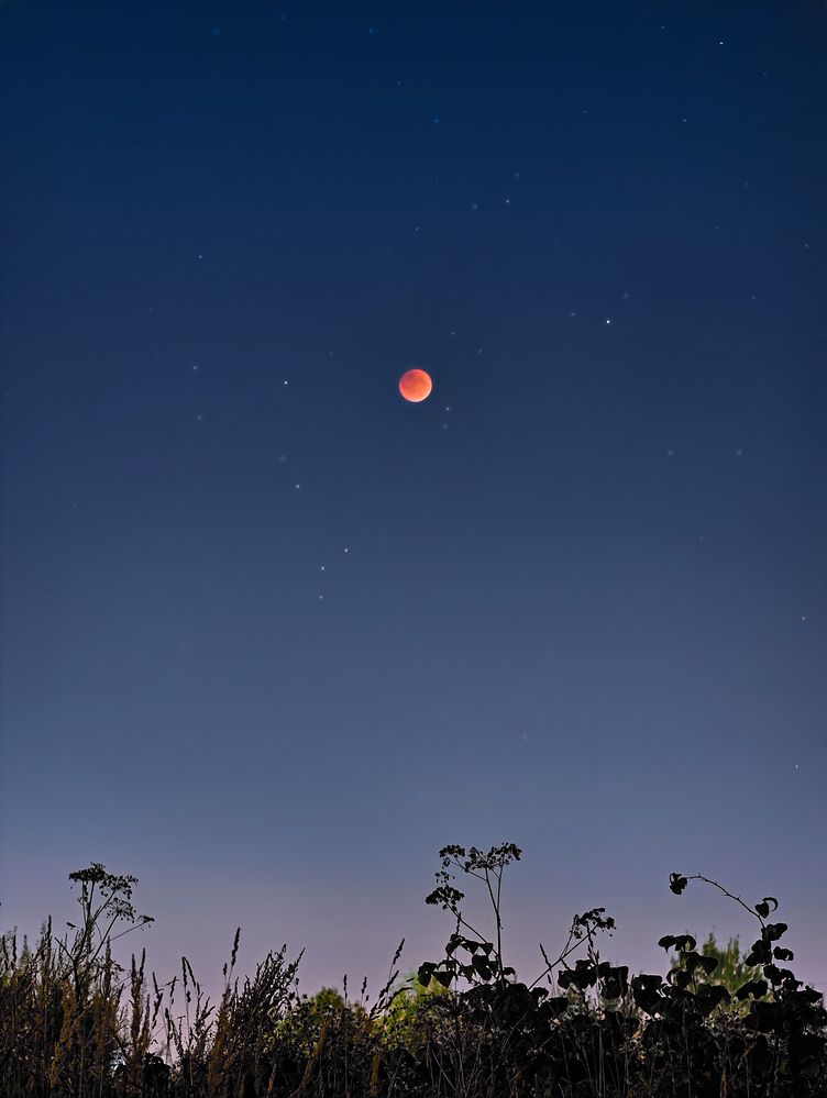 Photograph by Nataly Gusarova