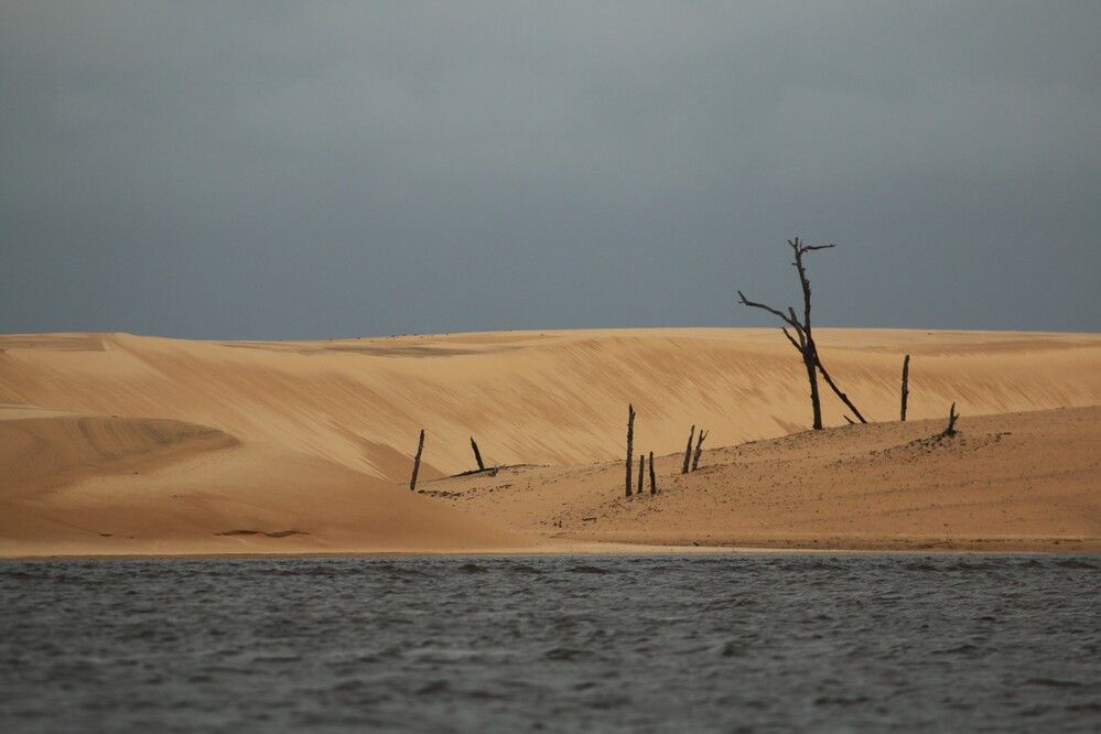 Photograph by Gr Marie