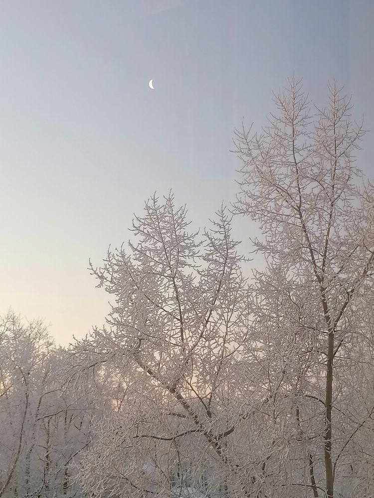 Photograph by Татьяна Бешенкина