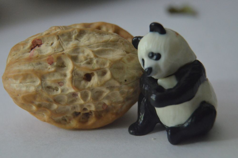 Photograph by Valentina