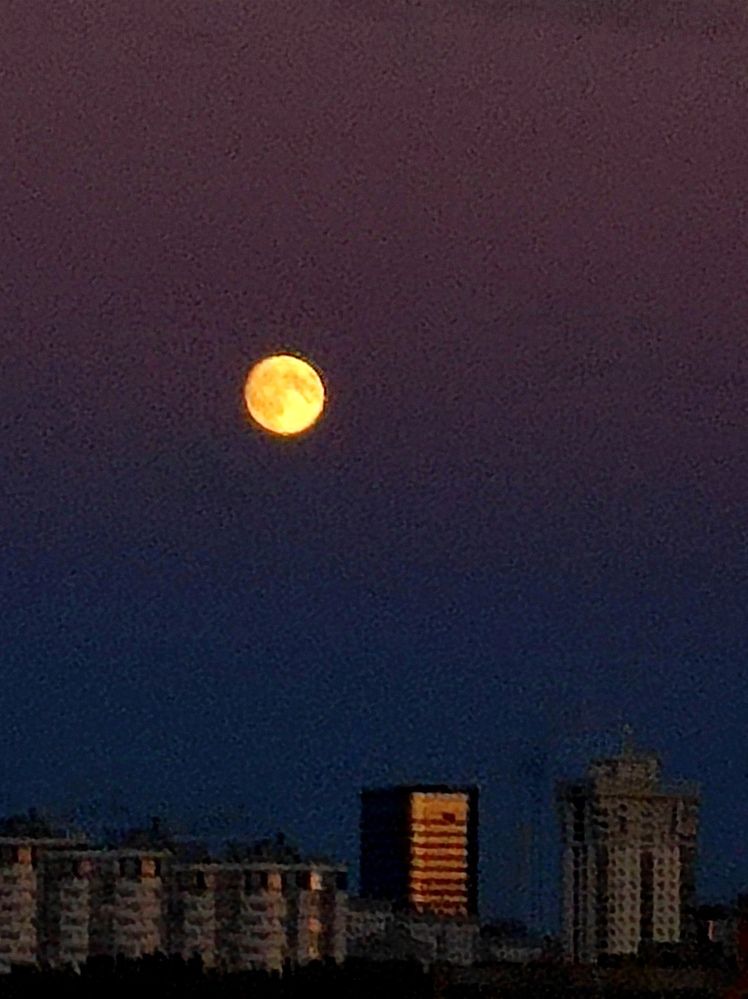 Фотография автора Рузинова Елена