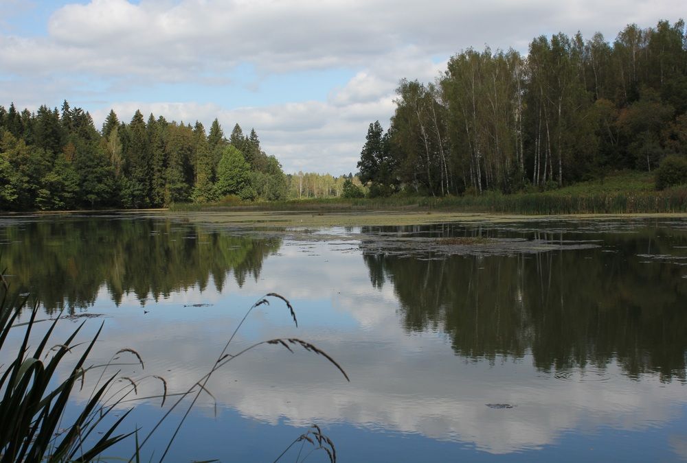 Photograph by Дмитрий Щекин