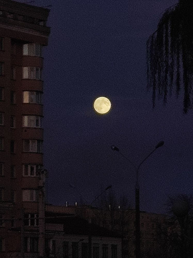 Фотография автора Рузинова Елена