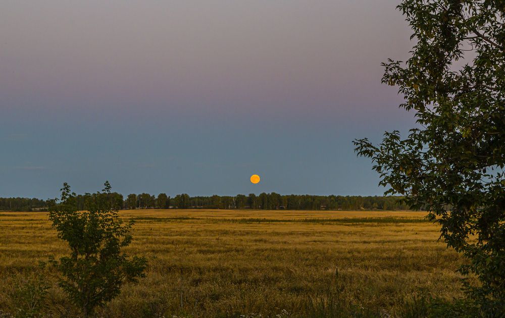 Фотография автора Каргин Валерий