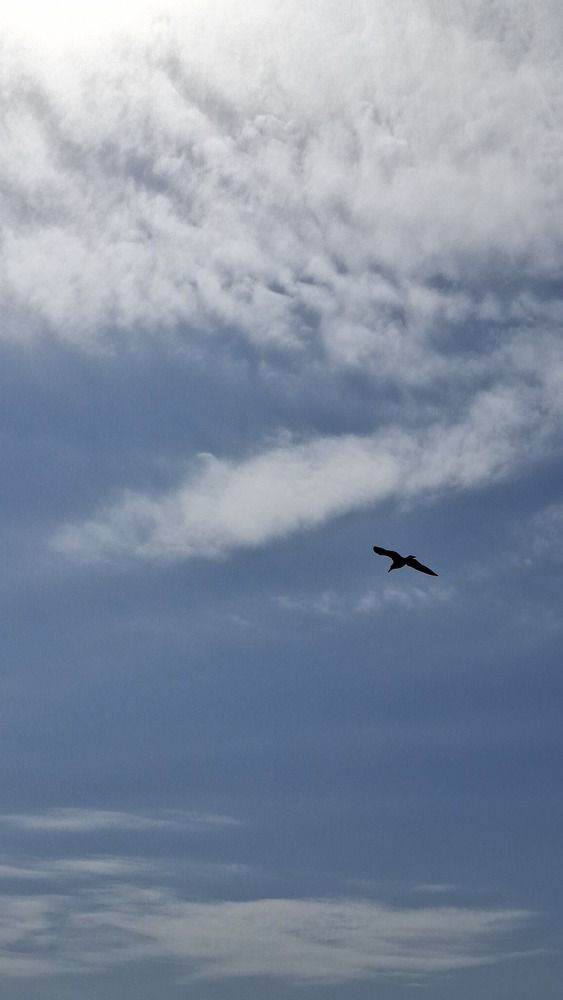 Photograph by Анастасия Воздвиженская