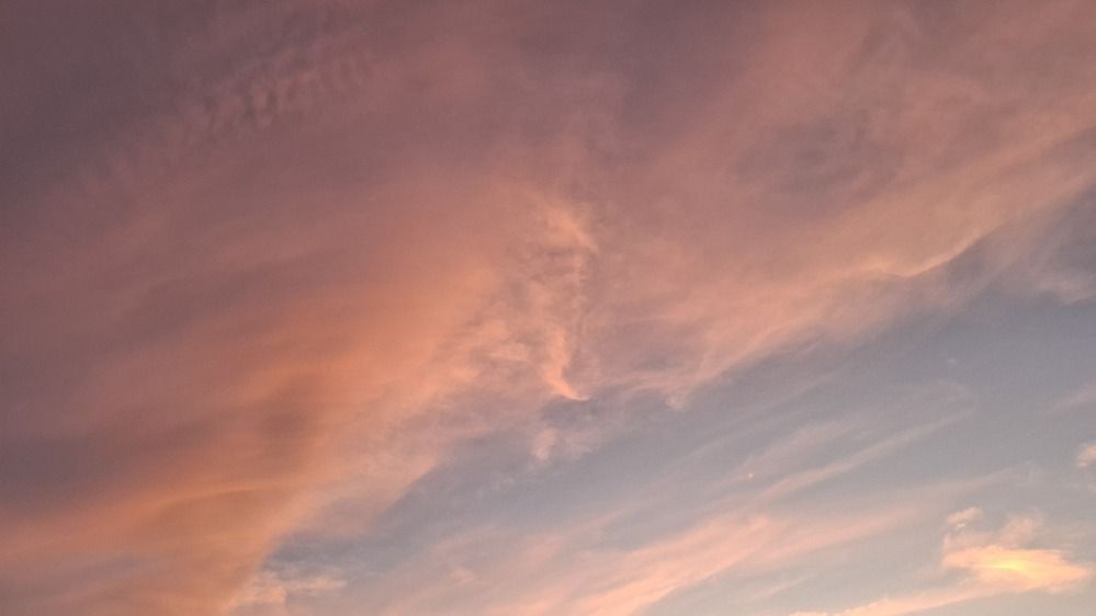 Photograph by Анастасия Воздвиженская