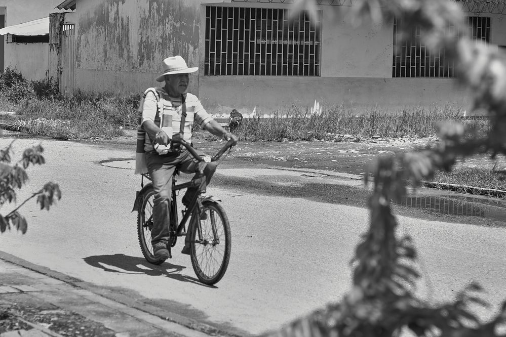 El viaje sencillo