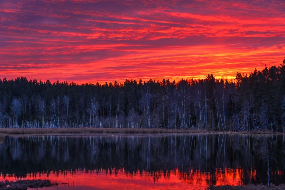 Photograph by Ольга Крицак