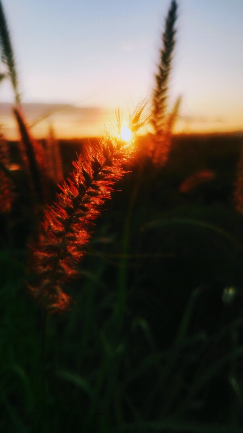 Kissing sun