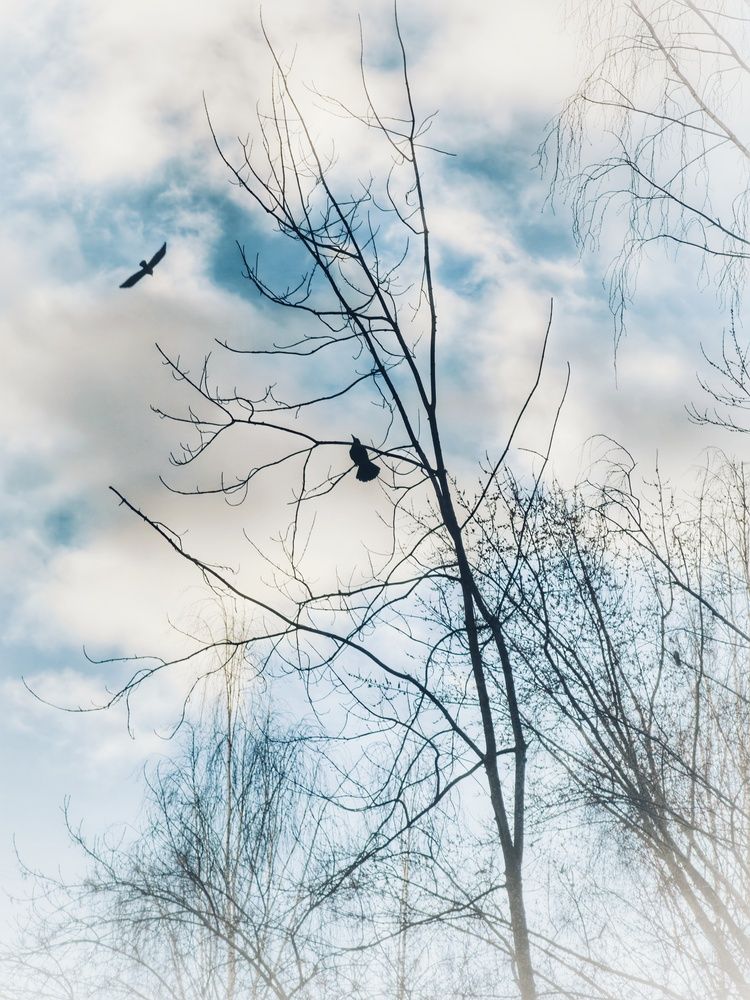 Photograph by Лидия Баженова