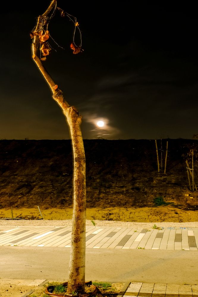 Фотография автора Dmitry