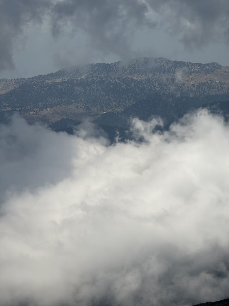 Photograph by Elvira