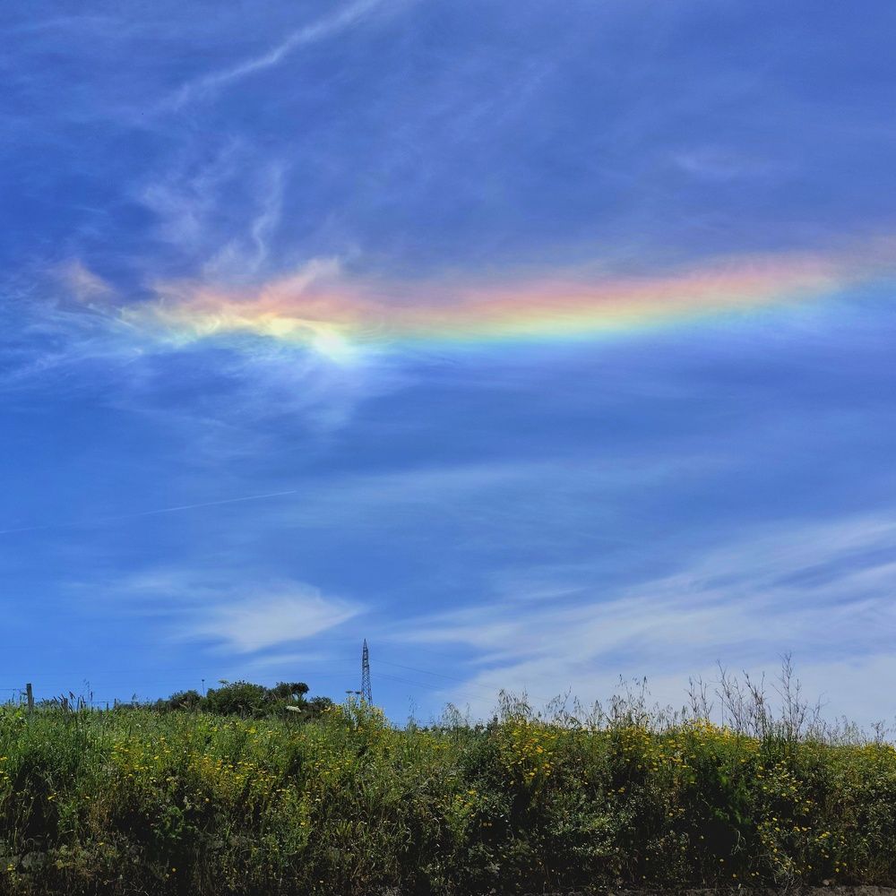 Фотография автора Vincenzo Tedesco