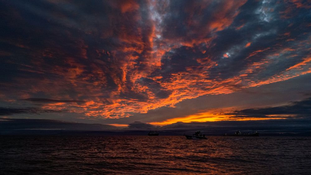 Photograph by Виктор Сёмушкин