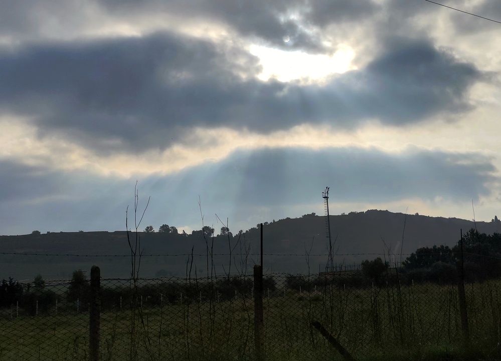 Фотография автора Vincenzo Tedesco