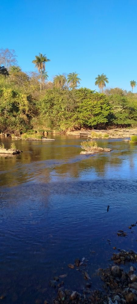 Photo #12555137