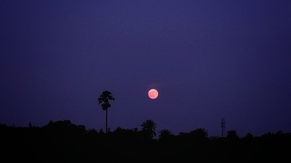 The Moonrise