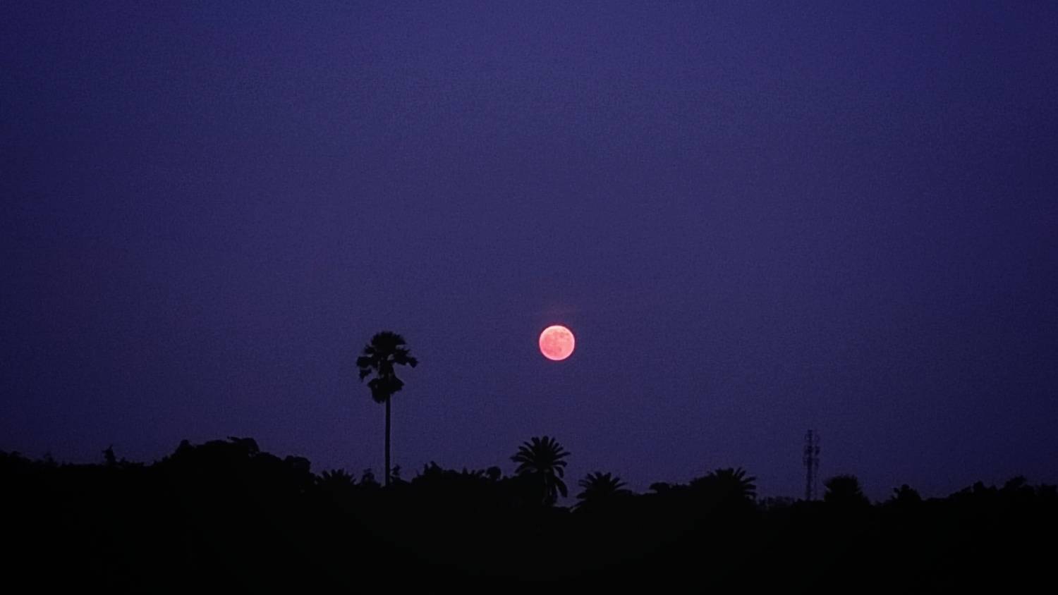 The Moonrise
