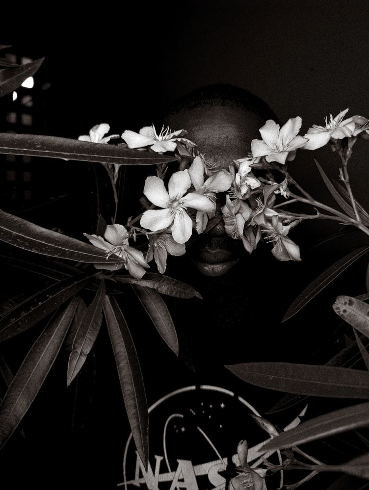 Photo #12555153