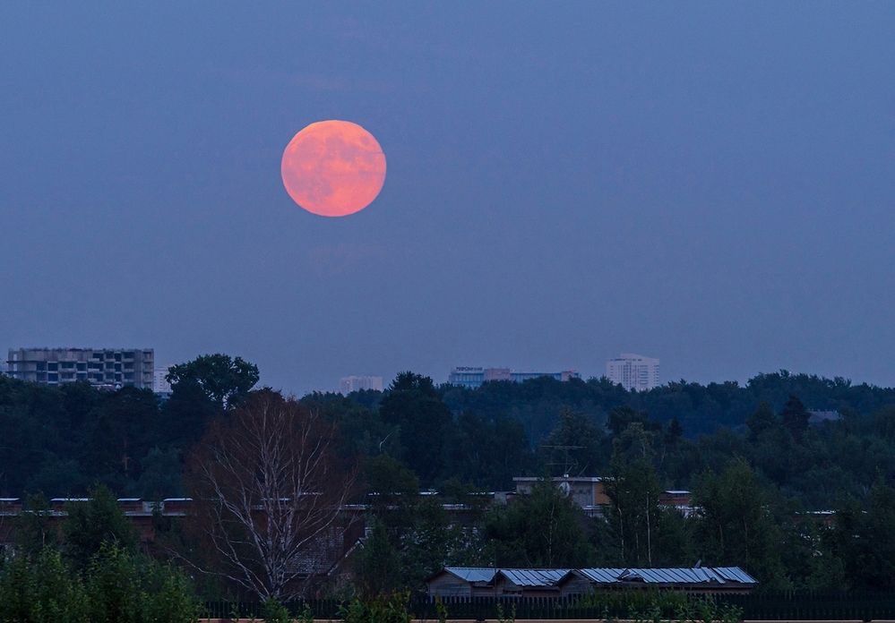 Photograph by Евгений Гонтов