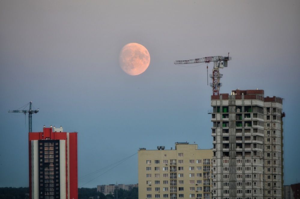 Photograph by Алена Самошина