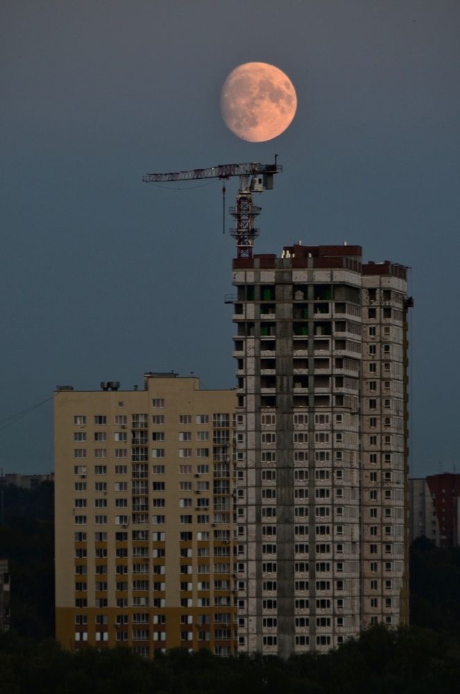 Photograph by Алена Самошина