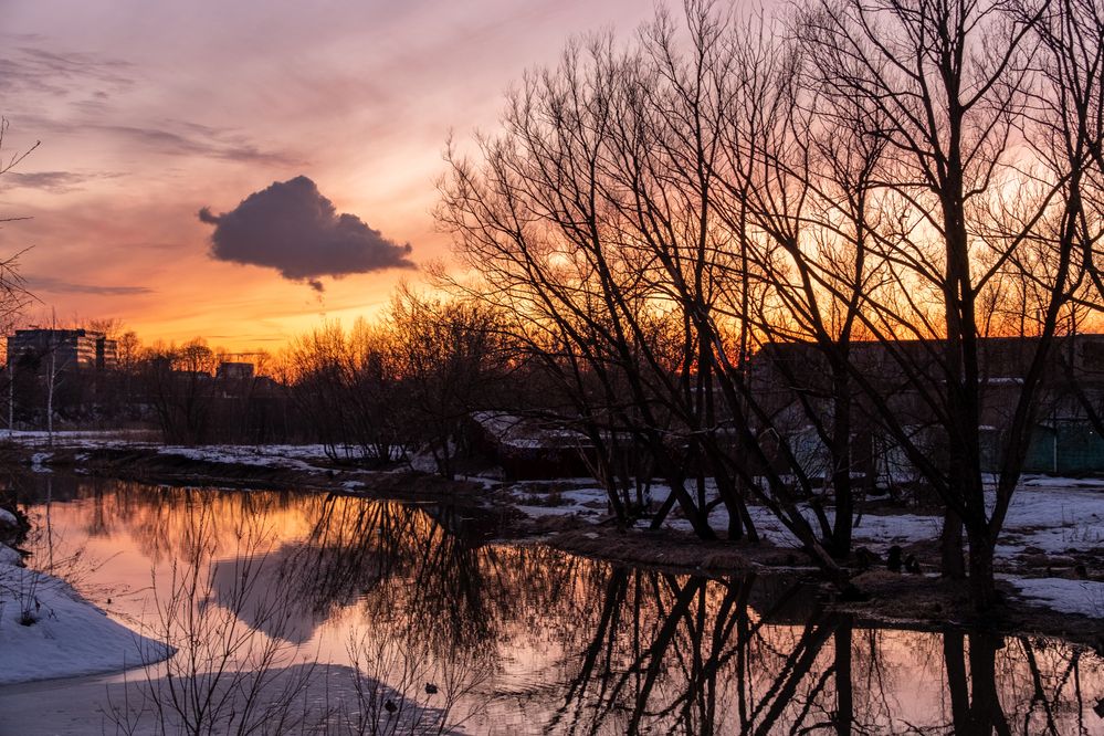 Photograph by Михаил Косолапов