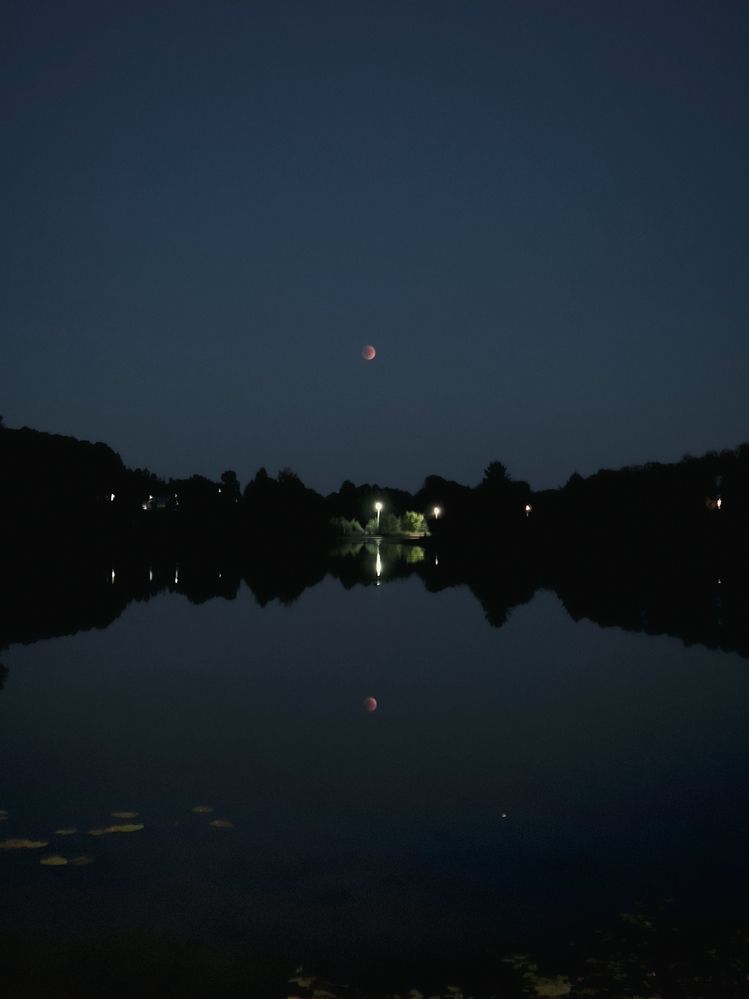 Photograph by Людмила Емельянчикова