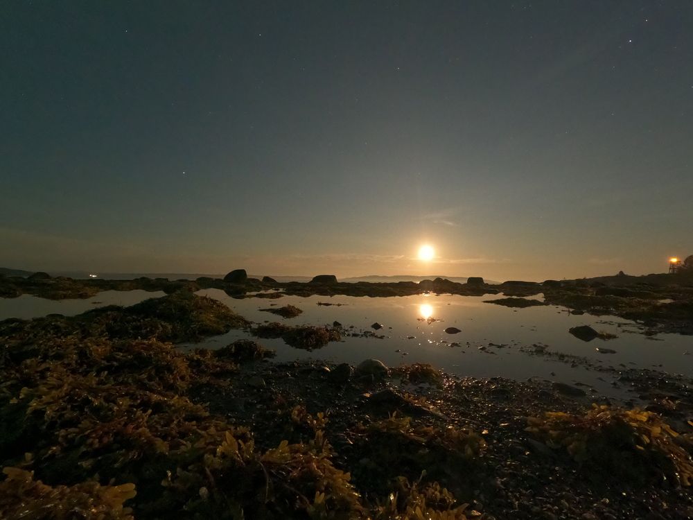 Photograph by Елена