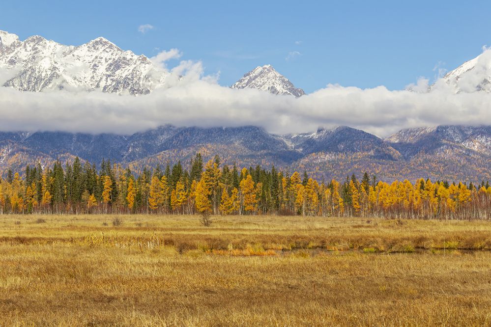 Photograph by Koledova Irina