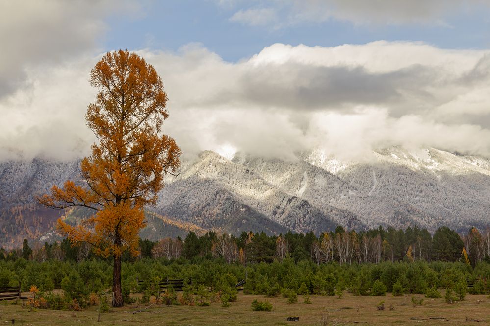 Photograph by Koledova Irina