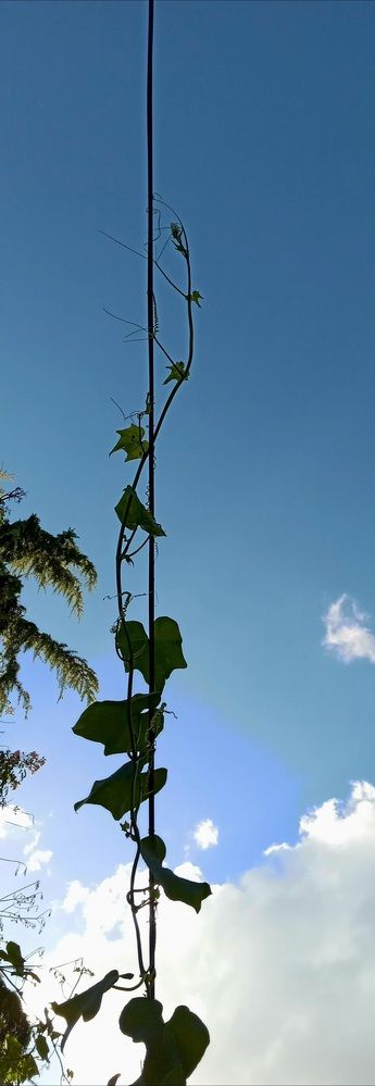 Photograph by Sara Elisabet Gómez