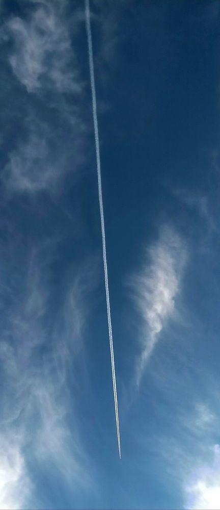 Photograph by Sara Elisabet Gómez