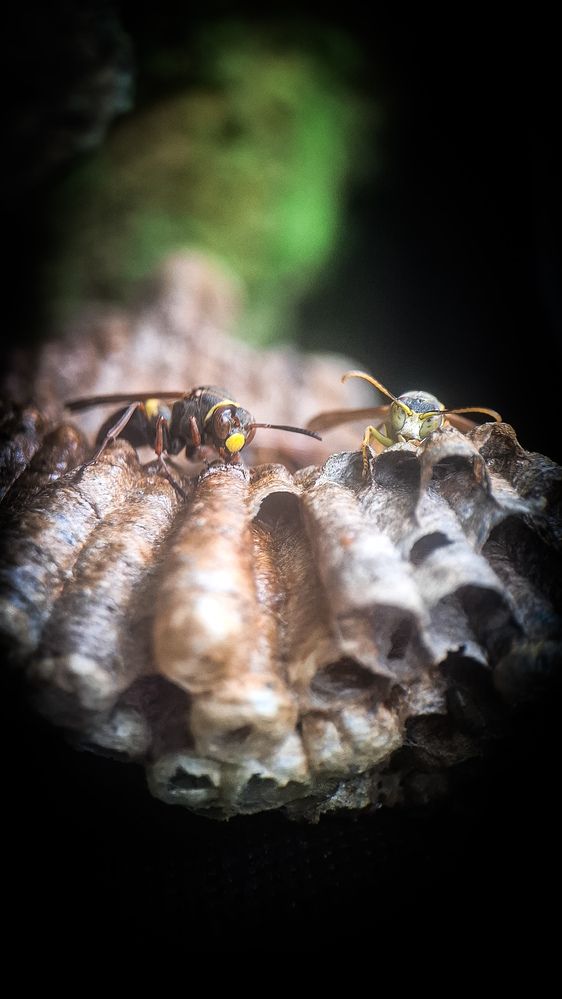 Photograph by Tatiana Kirillova