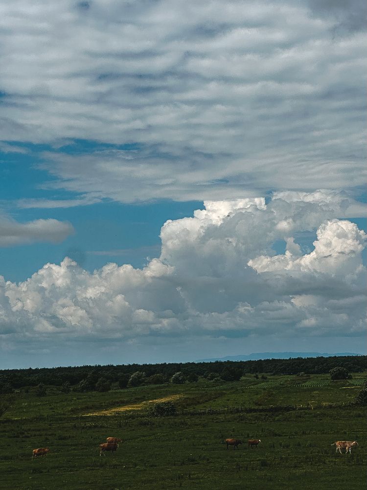 Photograph by Екатерина Булдакова