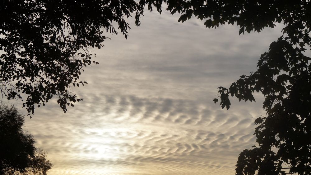 Photograph by Юлия Мельникова