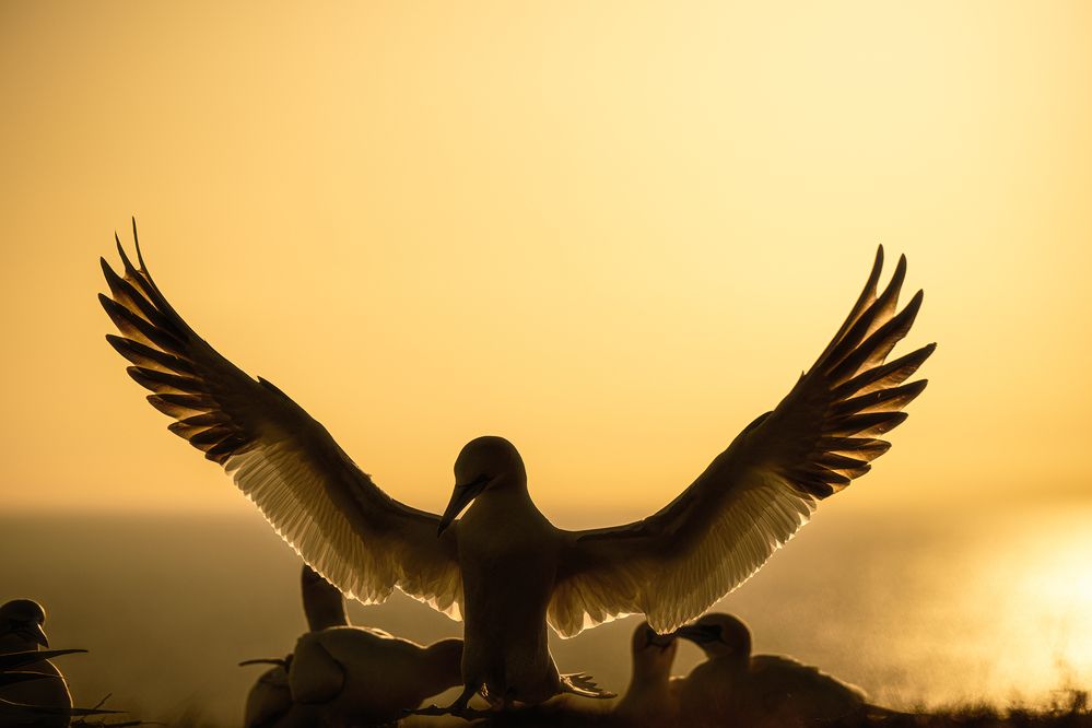 Photograph by Ernestas Balcikonis