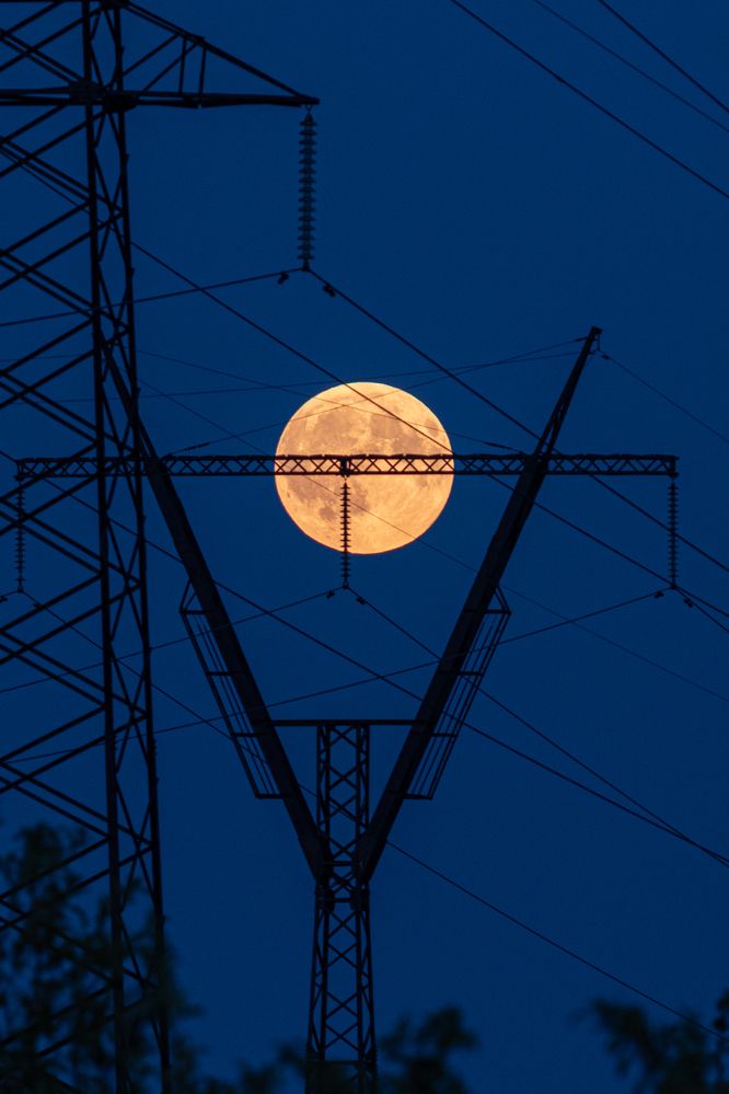 Photograph by Lapin Vitaly